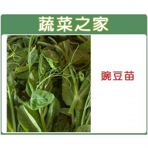 包装豆苗 150g